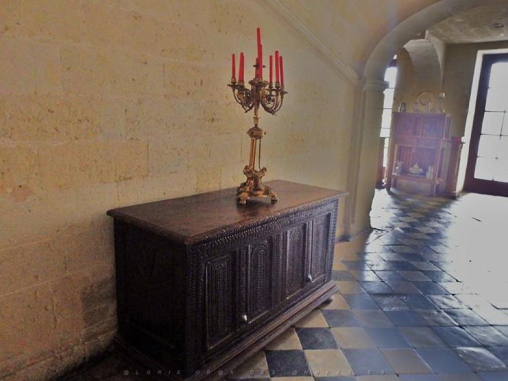 149 CHATEAU DE BRISSAC MAINE ET LOIRE 2016 N2_000013.jpg
